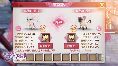 图片: 图2+宠物结缘.jpg