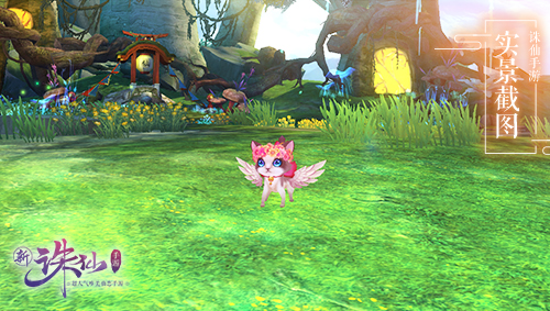 图片: 图8+可爱的二代喵呜.jpg