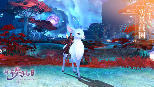 图片: image009.jpg