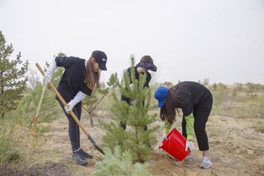 图片: image006.jpg